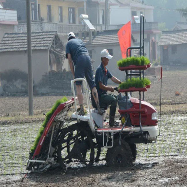 Rice Transplanter factory